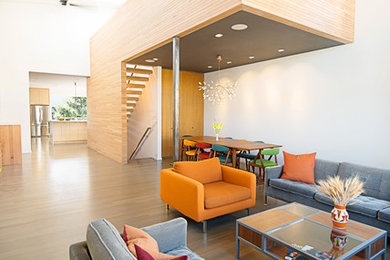 Example of a minimalist living room design in San Francisco