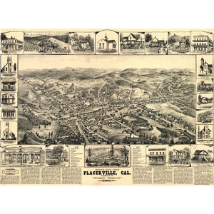 1884 Pendleton Oregon Vintage Old Panoramic City Map 24x36