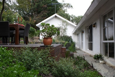 Inspiration for a contemporary garden in Melbourne.