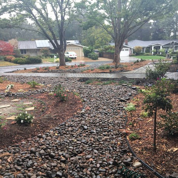 Front Yard Remodel