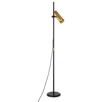 Quinn 1-Light Floor Lamp, Patina Brass