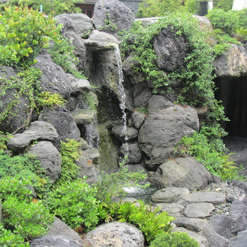 Tropical waterfall and pond