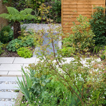 Paving and planting in this Sanctuary Garden Design in London