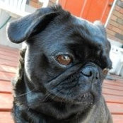 Isabelle Godin's photo