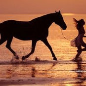 Julia Hayitova's photo