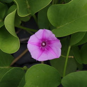 Megan Graves's photo