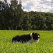 Jamie Mitchell's photo