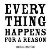 Janine Lavin's photo