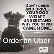 Diana Swinton's photo