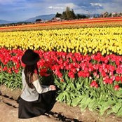 Anna Zhang's photo
