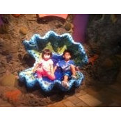 Yoshiko Okada's photo