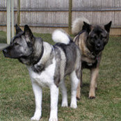 Ilene Applebaum's photo