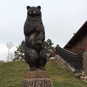 Ann Yang's photo