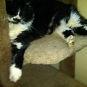 Ashley Hubback's photo
