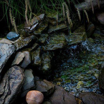 Washington DC Water Feature, Garden, & Arbor