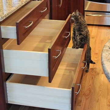Davenport- Curious Cats Show Us Their New Kitchen