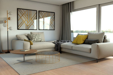 Minimalist living room photo in Other
