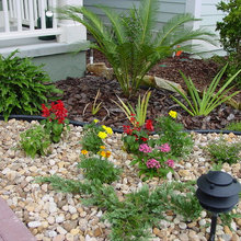 Front Yard Landscape