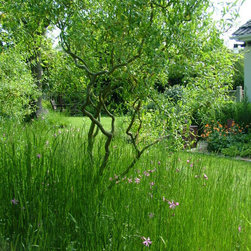 Wildflower meadow - Products