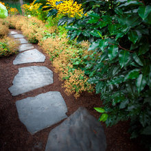 side yard