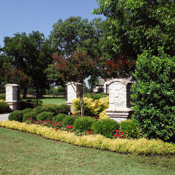 Evergreen Trees & Shrubs