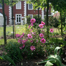 Beautiful Houzz Gardens