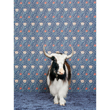 "Yak on Blue Floral" Canvas Wall Art by Catherine Ledner, 18"x24"