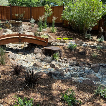 Dry Creek Bed