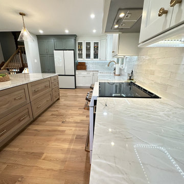 Brighton Heritage Door - Iceberg - Basil - QSWO Gunpowder
