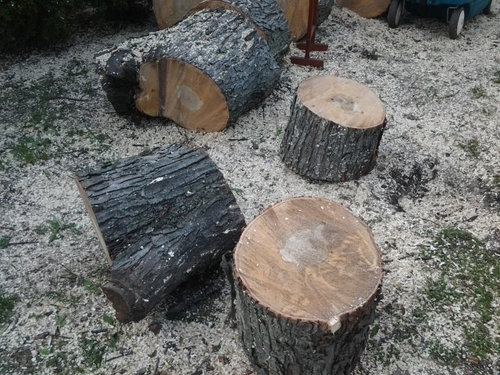 40 Spruce Bark Wood Log Slices.Decorative Display Logs 3-4" diameter 1" thick 