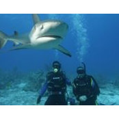 Jim Kennedy's photo