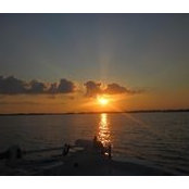 Greg Welton's photo
