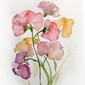 Patty Donovan's photo