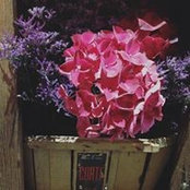 Foto von Fanny Artvegetal