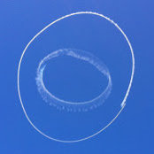 Tim Robinson's photo