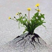Aya Moustafa's photo