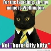 Jon Wellington's photo
