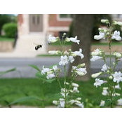 Lisa Frede's photo