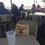 Kevin Foran's photo