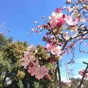 Amber Tsai's photo