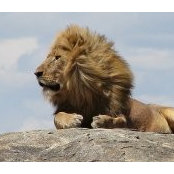 Pedro Verea's photo