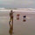sabrina_qutb