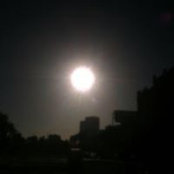 Robert Angelini's photo