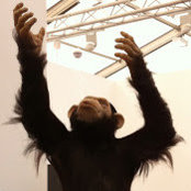 Adeel Hussain's photo
