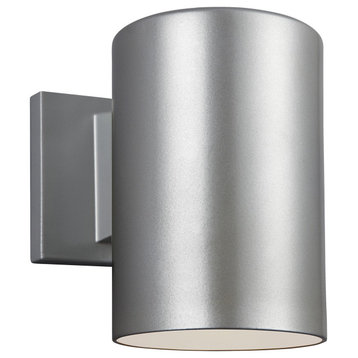 Small 1-Light Outdoor Wall Lantern, Painted Brushed Nickel