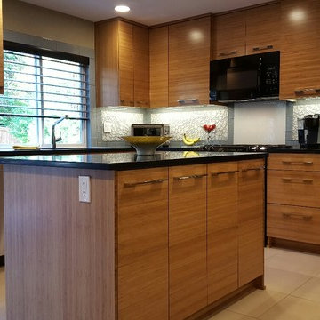 Contemporary Kitchen remodel