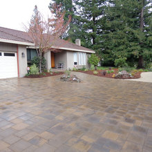 Frontyard