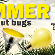 Keep Unwanted Bugs Away