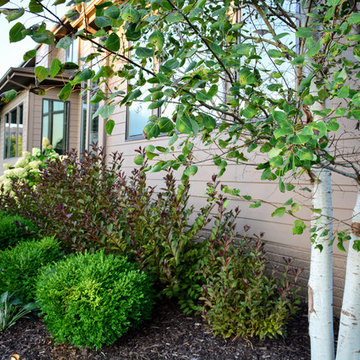 Rustic Silver Leaf Estate