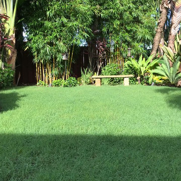 Our Work